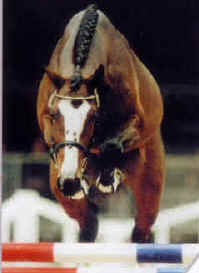 Balou Du Rouet