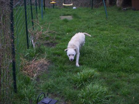 Billy