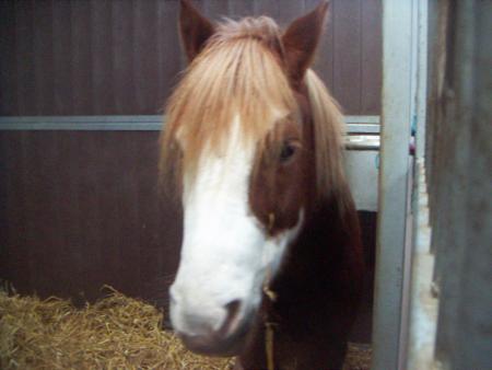 Alban