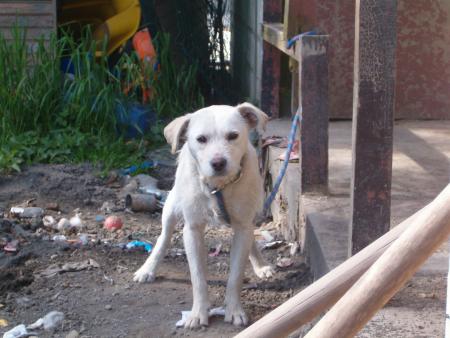 Billy